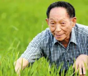 袁隆平育种水稻失败曾经去挖煤,两个月后负责人却说你赶快回来