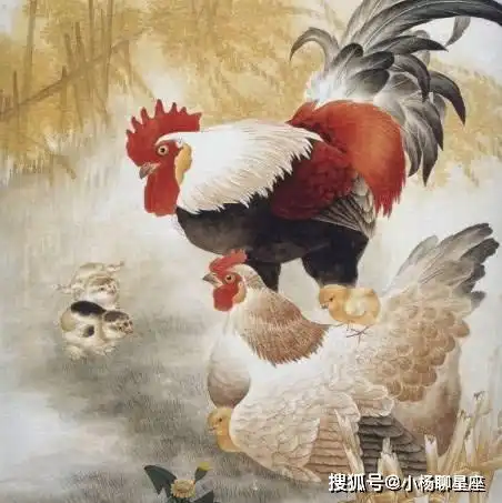 时来运转的4生肖,新年迎来开门红,上半年财运福运双双至
