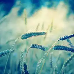 中文之美,震撼到让人喷血,快来看看吧