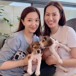甄子丹花大手笔为娇妻庆生,当众接吻爱意绵绵,一家同框幸福温馨