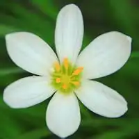 测试一个超长简介的文章