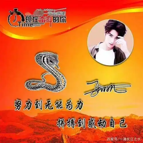 用你的名字做微信头像十二生肖姓氏头像设计,喜欢请带走