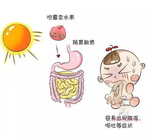 测试一个超长简介的文章