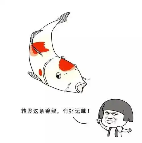 如果人生只剩下抽卡该怎么办这个游戏做到了