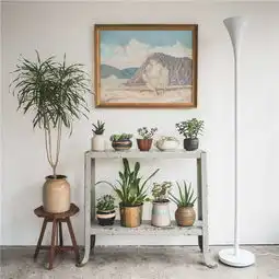 创意植物架,空间源源不绝的绿色动力