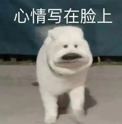 太冤了花1000块住了金字塔主题酒店,结果房里不止我一个人...