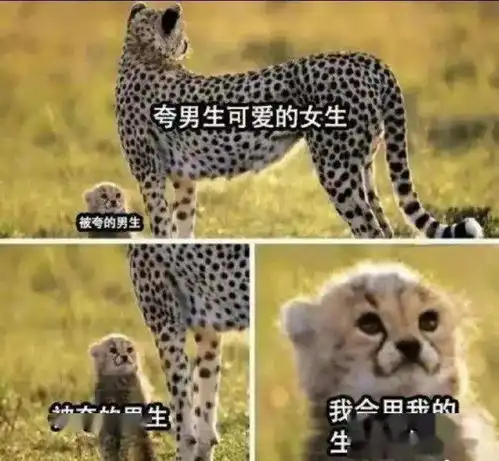 我严重怀疑贾玲在模仿我奶奶哈哈哈这届沙雕网友评论亮瞎眼