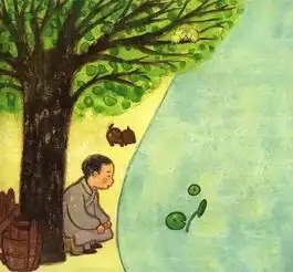 安的种子等待千年莲花的盛开