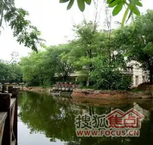 听雨观澜夏天的清凉与宁静