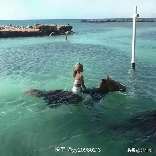 推荐头像