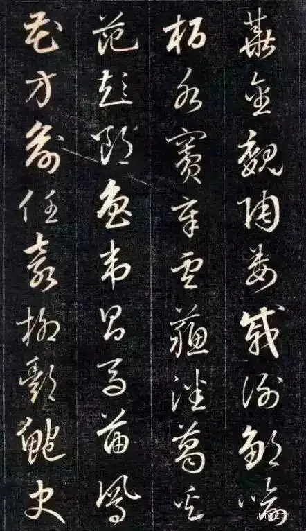成亲王小草百家姓欣赏