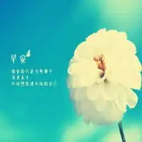 2019早安心语带字图片早安心语简单一句话图片