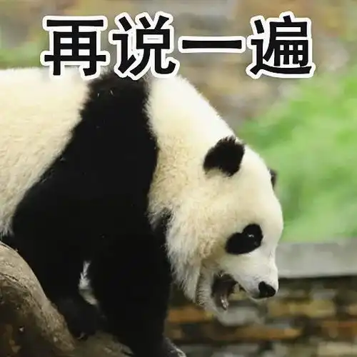 超萌儿童节专属熊猫表情包,速来拿图