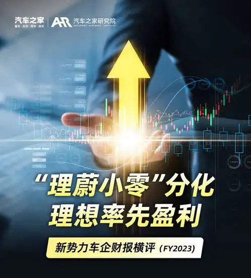 五家新势力上市车企2023年财报解读