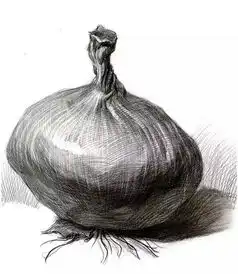 海城消息通讯网静物素描不会衣服褶皱不会秘诀都在这里