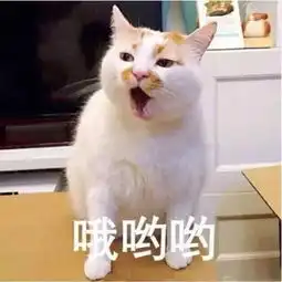 有个超会撩妹的老爸是什么体验又想骗我生女儿