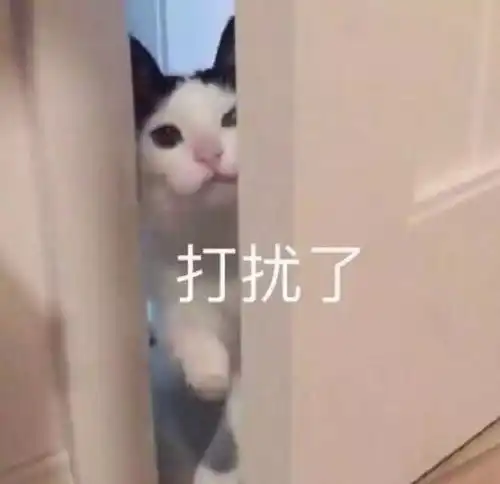 你为什么还不辞职听完这些90后职场人的回答我沉默了
