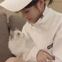 吸猫少女鞠婧祎再上线好想变成那只猫