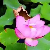 微信步数正在泄露你的真实生活