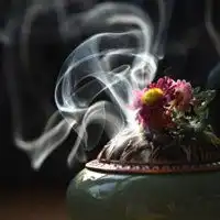 测试一个超长简介的文章