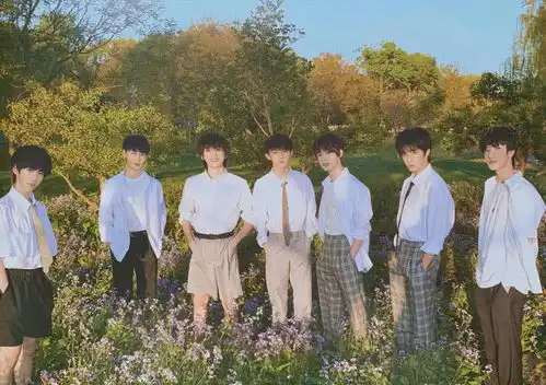 tnt时代少年团少年vol1少年花