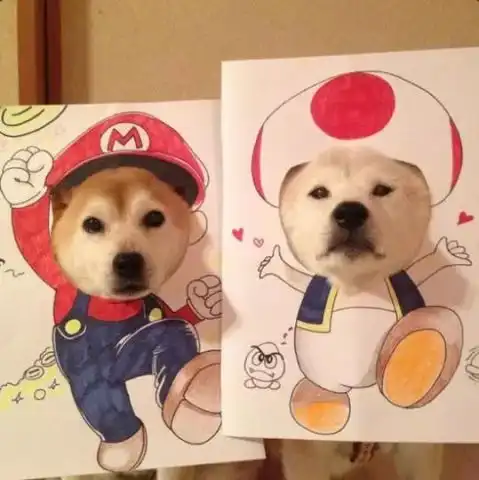 狗年大吉旺旺旺柴犬cos各路动漫角色简直萌翻了
