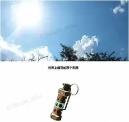 为所欲为csgo爆笑图大放送