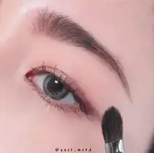 有关化妆刷的一次科普,你的化妆刷合格吗