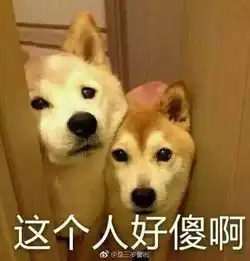陈都灵被哪位高人指点了艳光四射到全场女明星暗淡