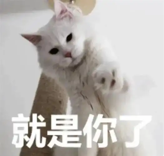 宝山区政法综治网