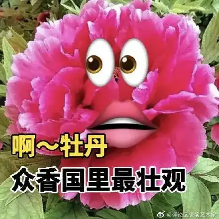它们也来约会福建接下来