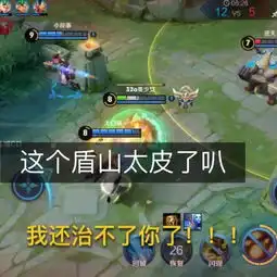王者荣耀蓝馨第五人格快手直播