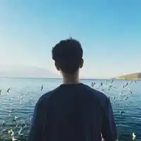 测试一个超长简介的文章