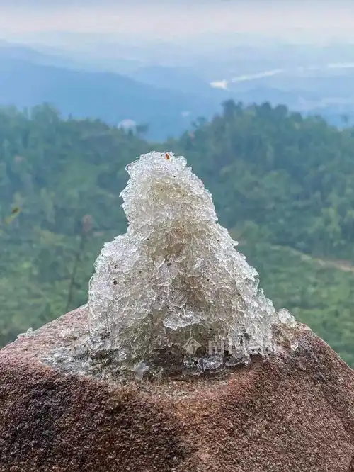 寒潮来临,柳州最低气温达到零下7.3,古亭山也可看雾凇冰凌景观