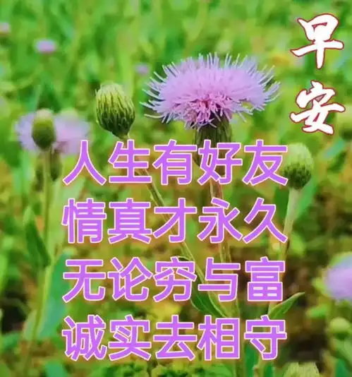 朋友圈早安励志祝福语,清晨问候朋友早安快乐动态带字图