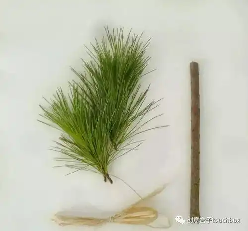 用花朵树枝水果作画,来一场大自然的艺术狂欢