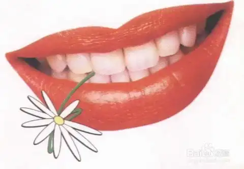 牙齿松动了怎么办牙齿松动是什么原因