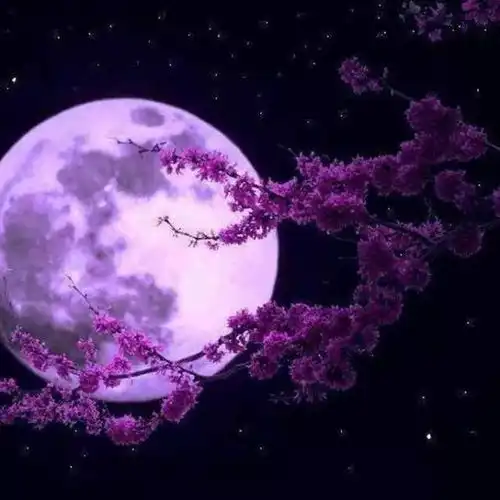 春江花月夜,美到你心窝