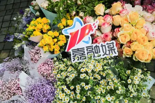 回味这份嘉定春日里独特的美丽