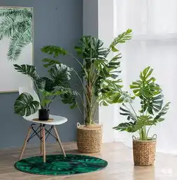 这些绿植界扛把子,放在家里超提气色
