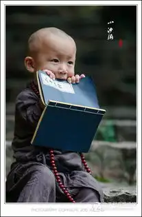 呆萌小沙弥