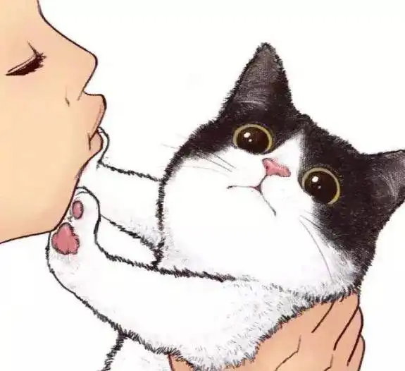可爱猫咪头像合集,笑到脸颤,网友嫌弃写在了脸上