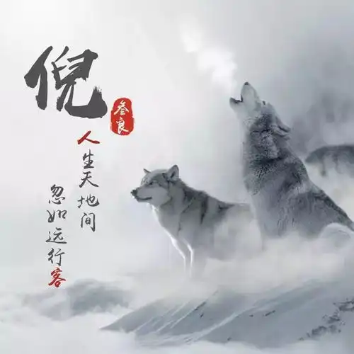 姓氏头像带狼的姓氏微信头像