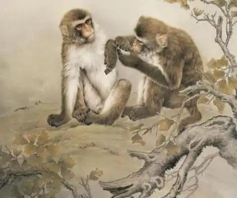中年事业有成,名利双收,尽享天伦之乐的生肖