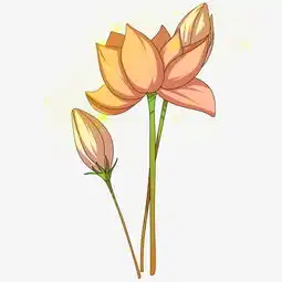 卡通莲花手绘插画图片素材其他格式下载动漫人物大全