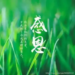 8月早安语录励志一句话