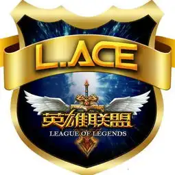 之前是打黑工lol韩援无工作签证不能比赛