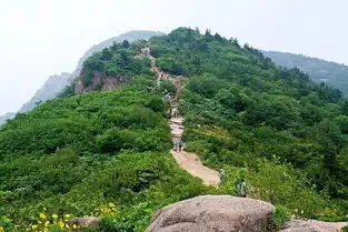 燃动户外首发陪你走遍千山万水之树山尽头赏梨花在线订票互动吧