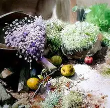 韩国画家申宗植的水彩画作品欣赏