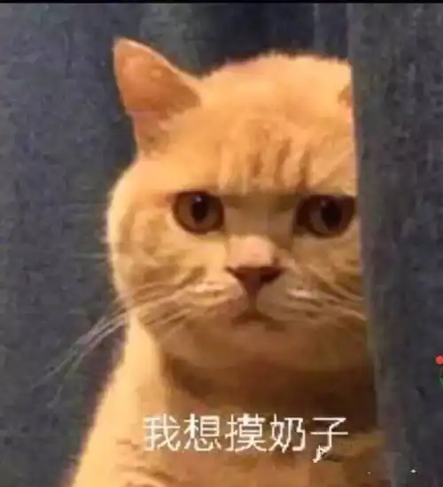 这组废了约的都没有,告辞告辞